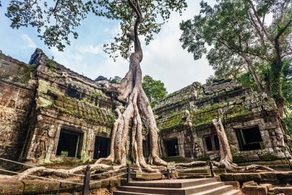 Ta Prohm , Cambodia Trips