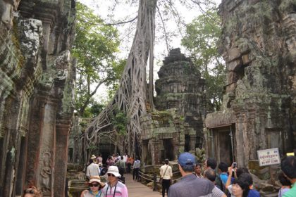 the ruin of Ta Prohm Temple, Cambodia tour