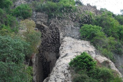 bat cave battambang, Tours in Cambodia