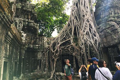 the ruin of Ta Prohm Temple, Siem Reap Food adventure tours