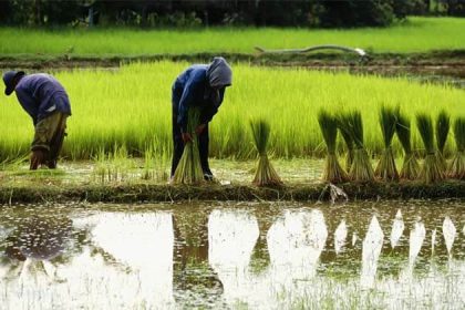 become khmer farmers, Honeymoon tours to Cambodia